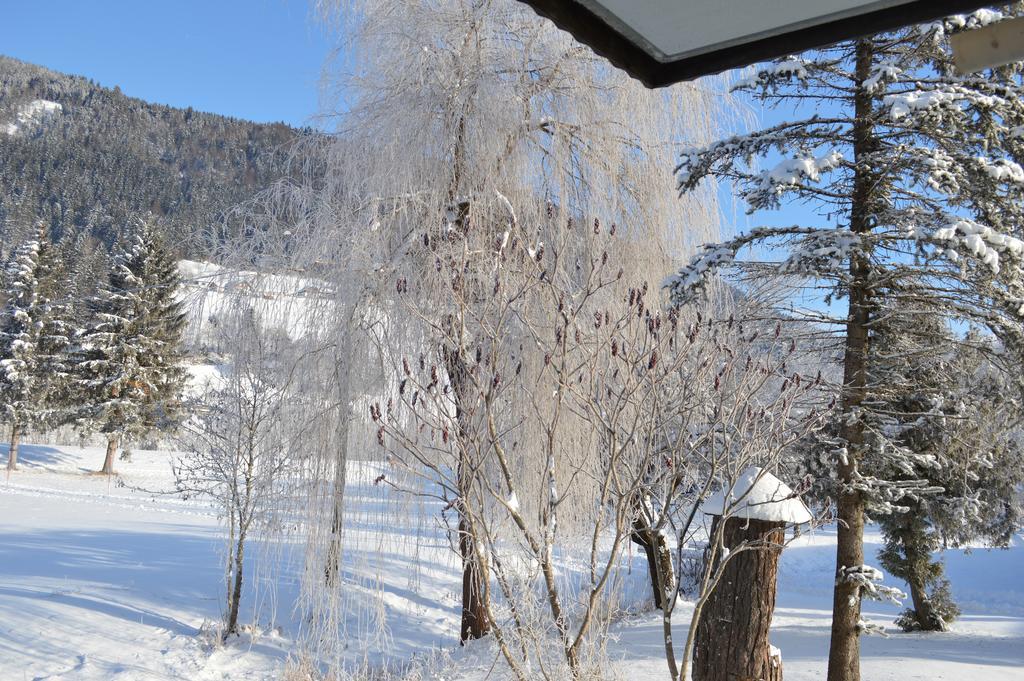 Chalet Kammleitn Hermagor-Pressegger See Exteriör bild